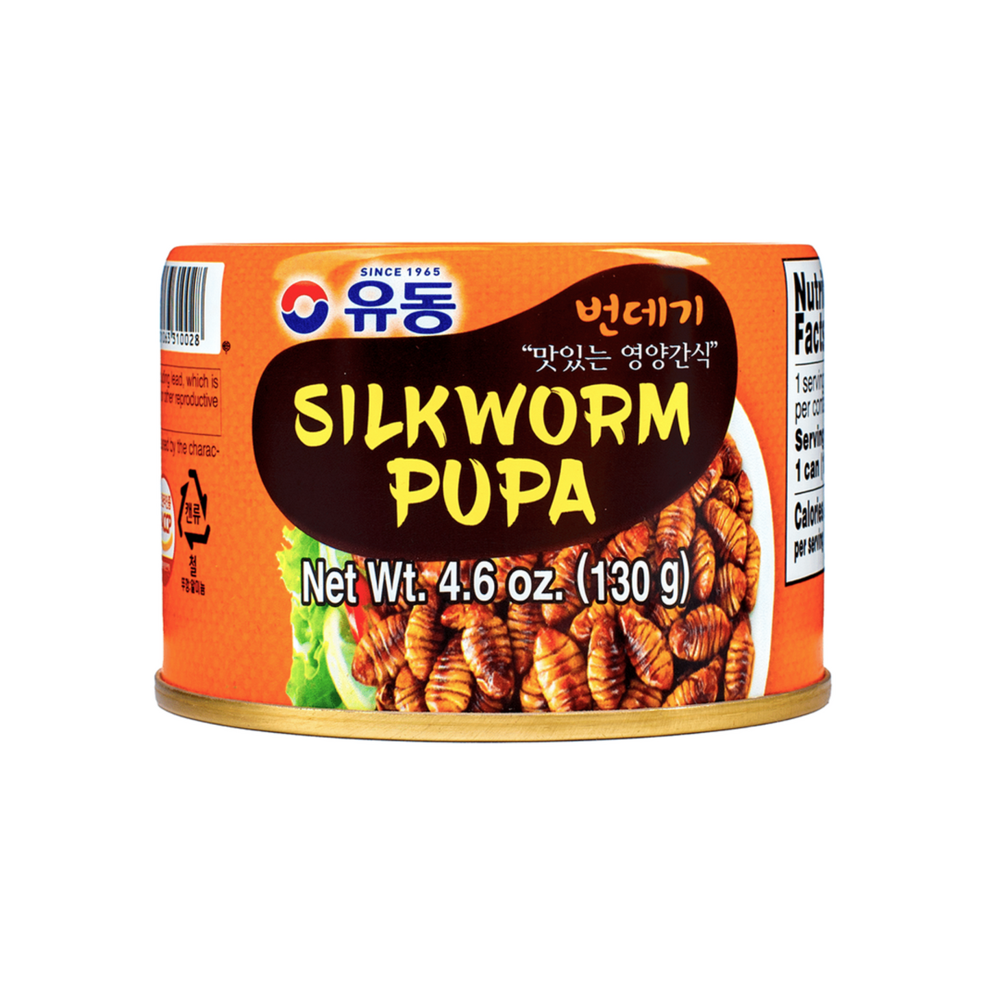 Yoodong Silkworm Pupa